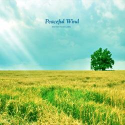 Peaceful Wind