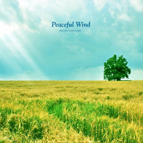 Peaceful Wind