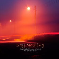 Say Nothing
