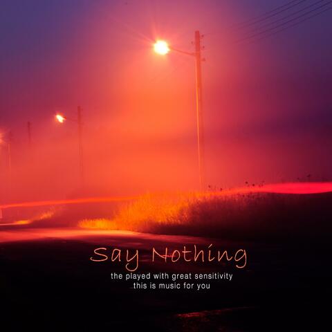 Say Nothing