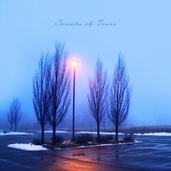 Sonata Of Tears
