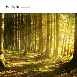 Sunlight