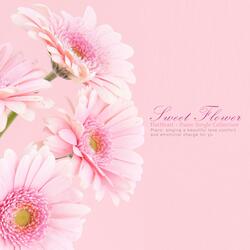 Sweet Flower