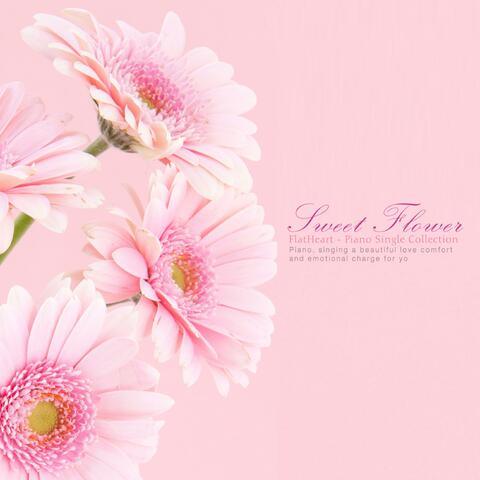 Sweet Flower