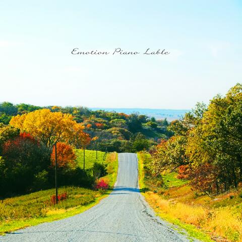 Walk The Autumn