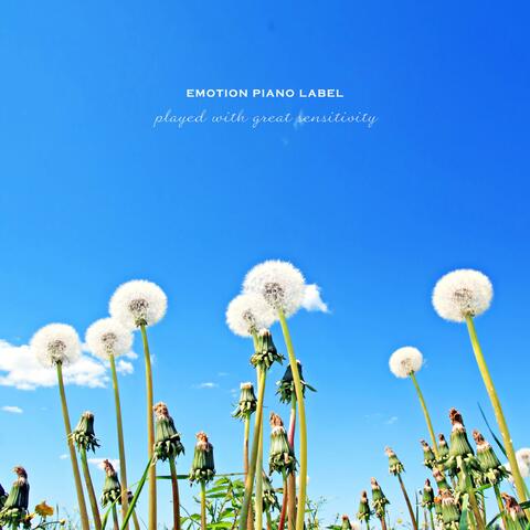 Following The Scent Of Memory