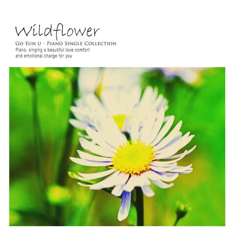 Wildflower