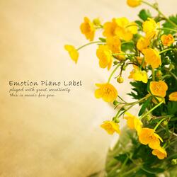 Lullaby For You