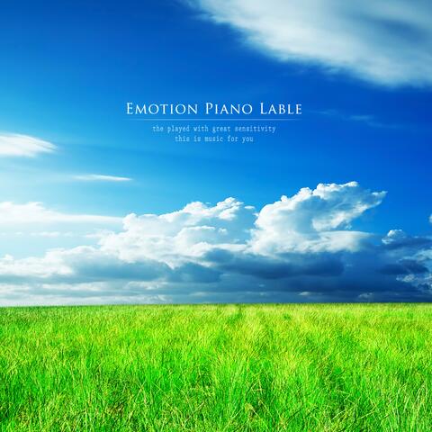 Warm Afternoon Scenery