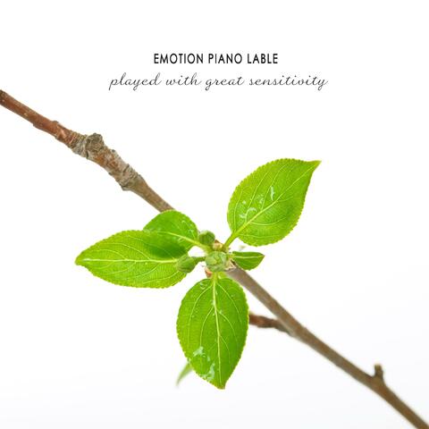 A Little Hope In Me