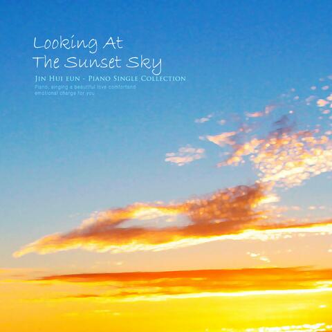 Gazing At The Sky