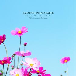 Always look in the light