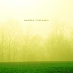 Confession of my last day