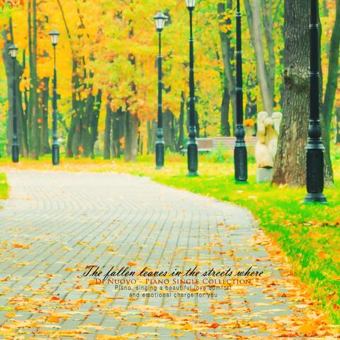 In the streets where leaves fall