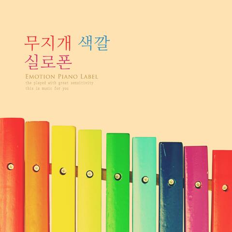Rainbow colored xylophone