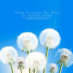 Petals shaking in the wind