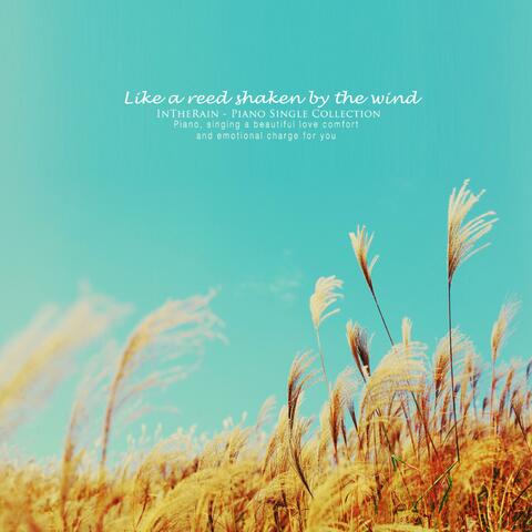 Like a reed shaking in the wind