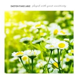 You laugh like sunshine