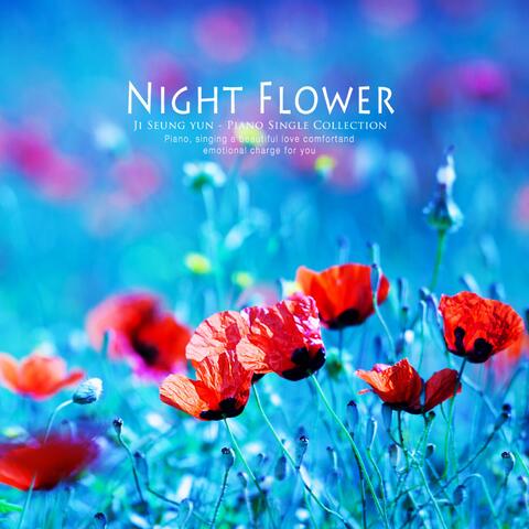 Blooming flowers at night