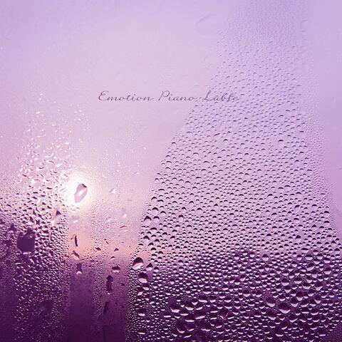 In the rain