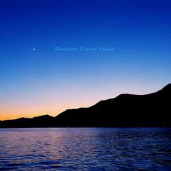 Night Colored With Stars