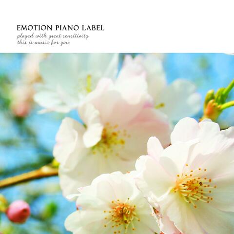 Cherry blossoms in the streets