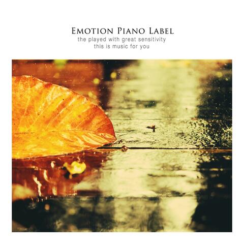 Rain-wet streets
