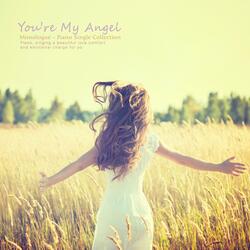 The Sunshine Outside The Window