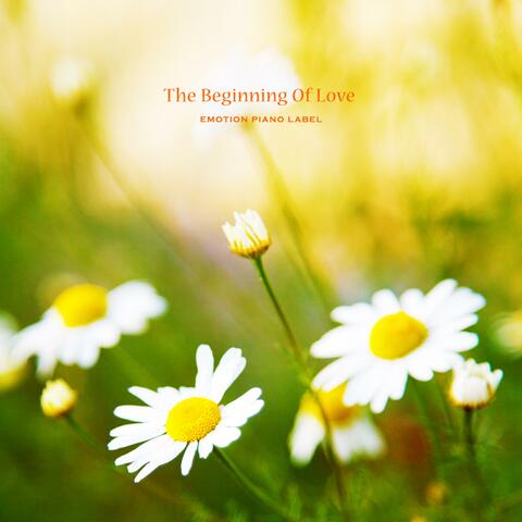 The Beginning Of Love