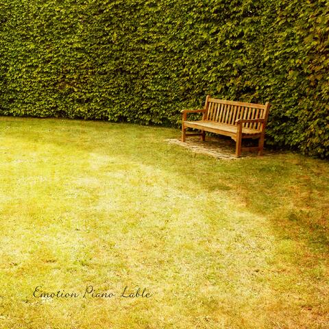 The Place Where Love Has Left