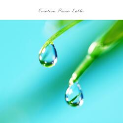 Little Flower'S Song