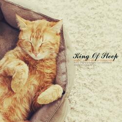 The king of sleep