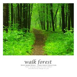 Walk through the forest