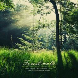 Walk in the woods