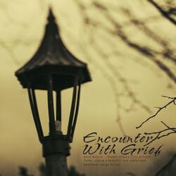 Encounter with sadness