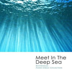 Constellation Of The Sea