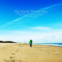 Fresh Winter Seas