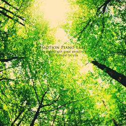 Along the sound of the forest