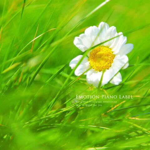 In the heart of a child