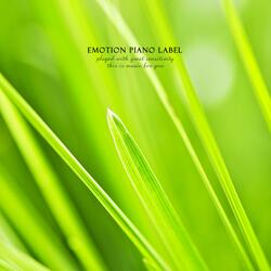 The start of a pleasant day