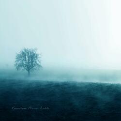 Into fog light memories