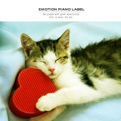 Sunday afternoon stroll