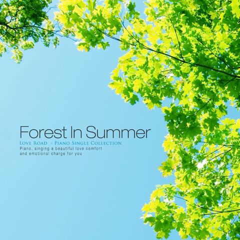 Summer forest