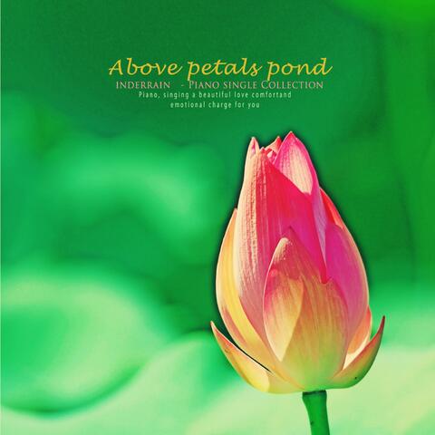 Petals on the pond