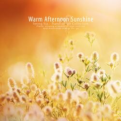 A Light Breeze Blows