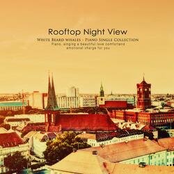 Rooftop night view