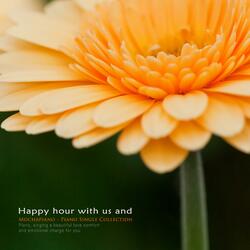 Happy Time Together