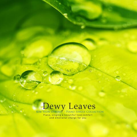 Dewed leaves
