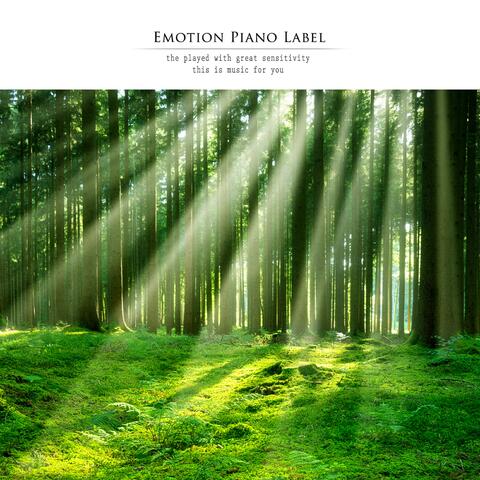 Song of a calm forest