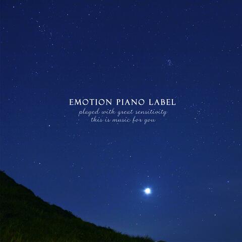 Stars in the evening sky